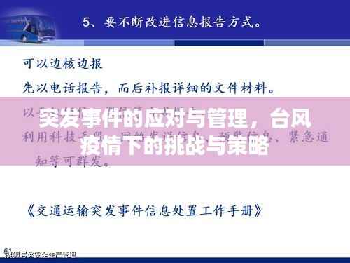 突发事件的应对与管理,台风疫情下的挑战与策略