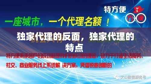 独家代理的反面,独家代理的特点