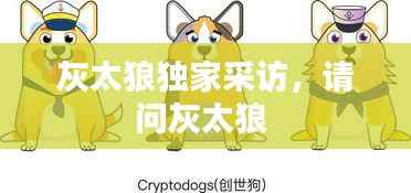 灰太狼独家采访,请问灰太狼