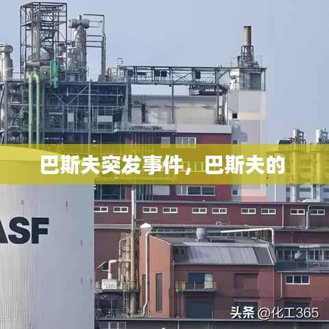巴斯夫突发事件,巴斯夫的