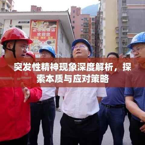 突发性精神现象深度解析,探索本质与应对策略