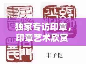独家专访印章,印章艺术欣赏