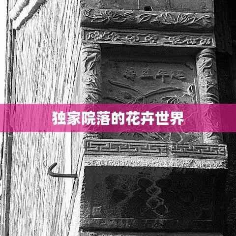 独家院落的花卉世界