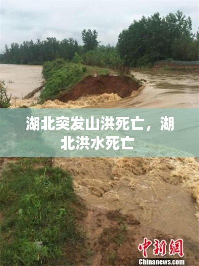 湖北突发山洪死亡,湖北洪水死亡