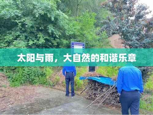太阳与雨,大自然的和谐乐章
