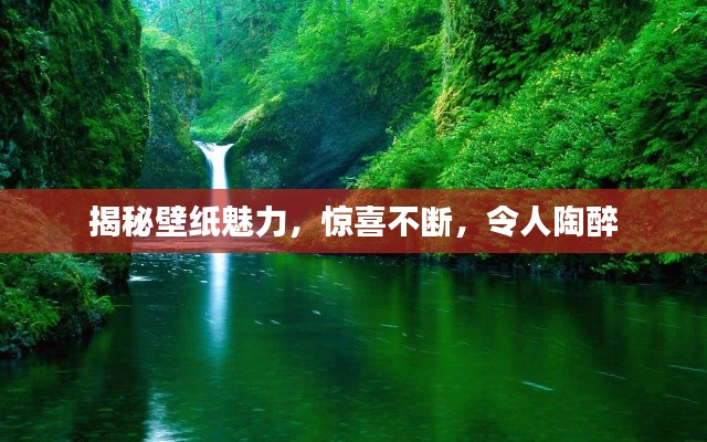 揭秘壁纸魅力,惊喜不断,令人陶醉