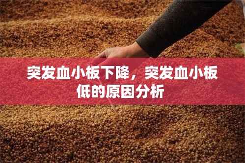 突发血小板下降,突发血小板低的原因分析