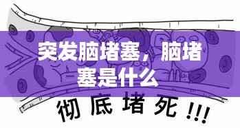 突发脑堵塞,脑堵塞是什么