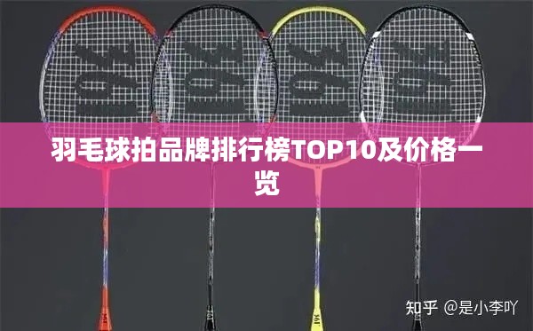 羽毛球拍品牌排行榜TOP10及价格一览