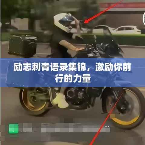 励志刺青语录集锦,激励你前行的力量