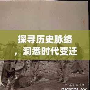 探寻历史脉络,洞悉时代变迁,把握历史规律专题全解析