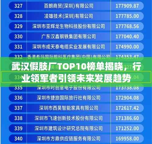 武汉假肢厂TOP10榜单揭晓,行业领军者引领未来发展趋势