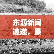 东源新闻速递,最新头条与新闻报道
