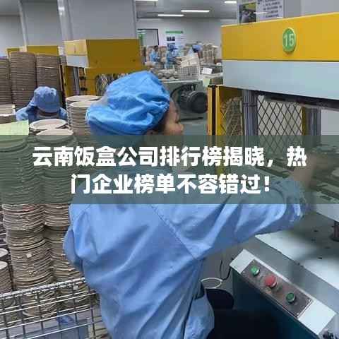 云南饭盒公司排行榜揭晓,热门企业榜单不容错过!