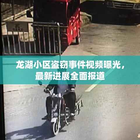 龙湖小区盗窃事件视频曝光,最新进展全面报道