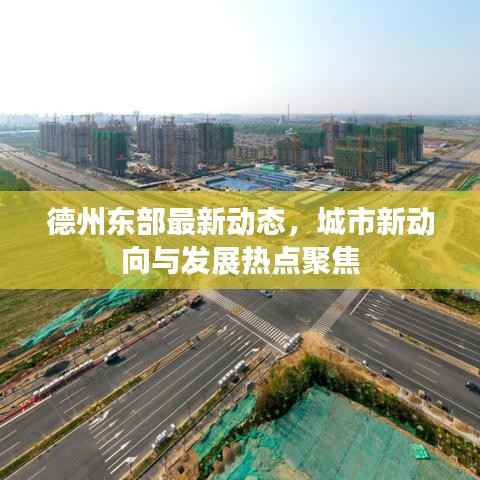 德州东部最新动态,城市新动向与发展热点聚焦