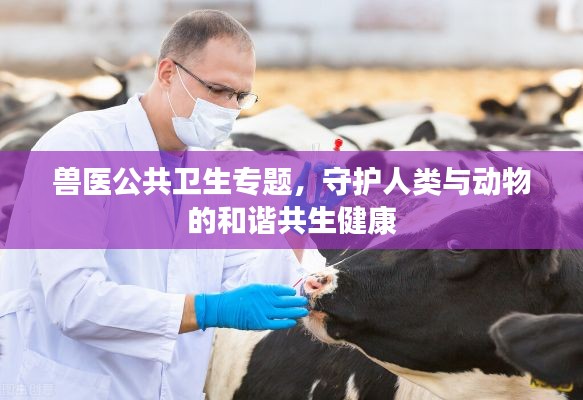 兽医公共卫生专题,守护人类与动物的和谐共生健康