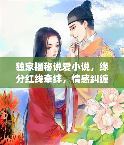 独家揭秘说爱小说,缘分红线牵绊,情感纠缠之旅