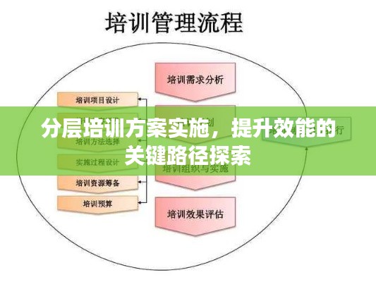 分层培训方案实施,提升效能的关键路径探索