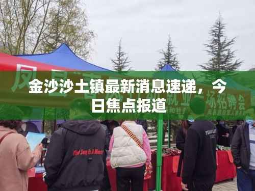 金沙沙土镇最新消息速递,今日焦点报道