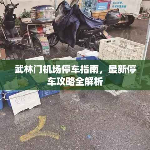 武林门机场停车指南,最新停车攻略全解析