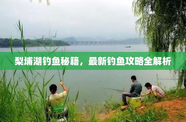 梨埔湖钓鱼秘籍,最新钓鱼攻略全解析