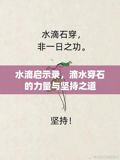 水滴启示录,滴水穿石的力量与坚持之道