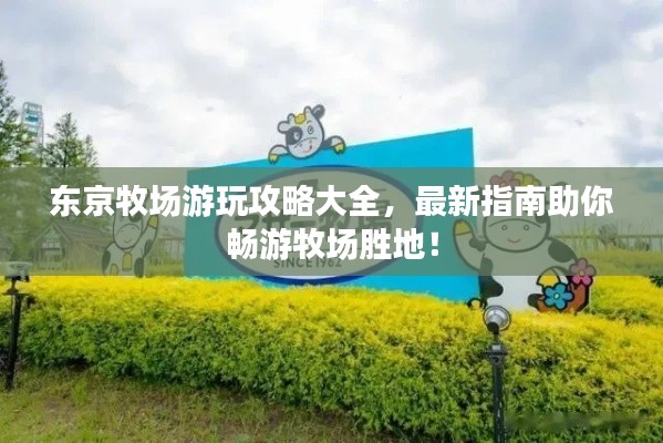 东京牧场游玩攻略大全,最新指南助你畅游牧场胜地!