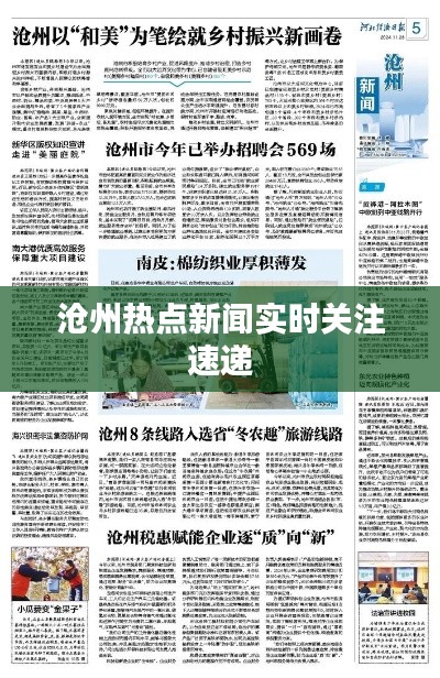 沧州热点新闻实时关注速递