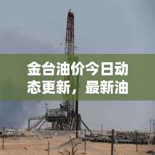 金台油价今日动态更新,最新油价分析与趋势预测