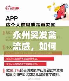 永州突发禽流感,如何应对挑战守护人民健康安全