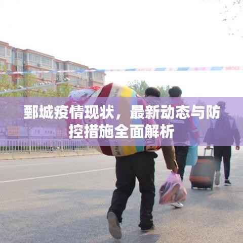 鄄城疫情现状,最新动态与防控措施全面解析
