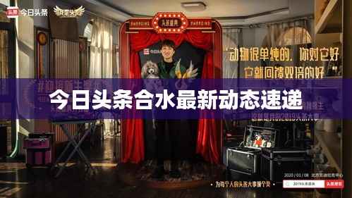 今日头条合水最新动态速递