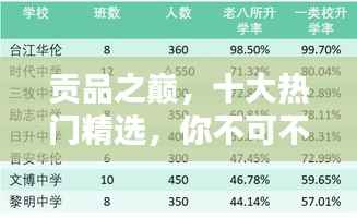 贡品之巅,十大热门精选,你不可不知的排名!