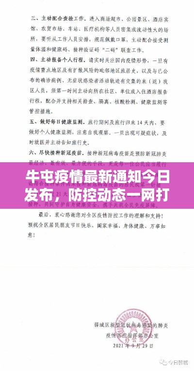 牛屯疫情最新通知今日发布,防控动态一网打尽!