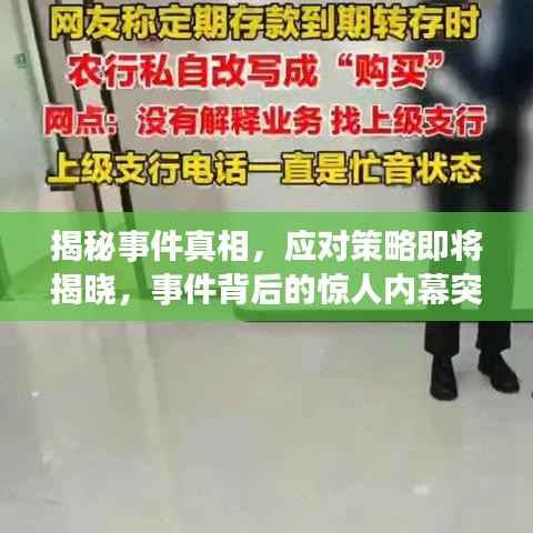 揭秘事件真相,应对策略即将揭晓,事件背后的惊人内幕突发声明!