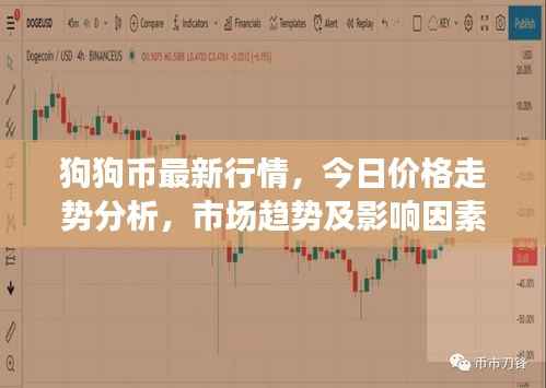 狗狗币最新行情,今日价格走势分析,市场趋势及影响因素探讨
