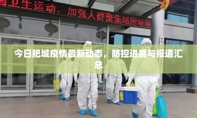 今日肥城疫情最新动态,防控进展与报道汇总