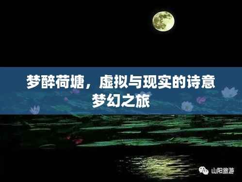 梦醉荷塘,虚拟与现实的诗意梦幻之旅