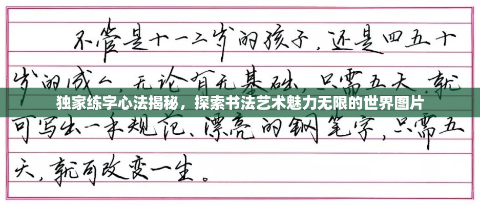 独家练字心法揭秘,探索书法艺术魅力无限的世界图片