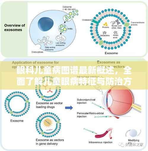 眼科儿童病图谱最新概述,全面了解儿童眼病特征与防治方法