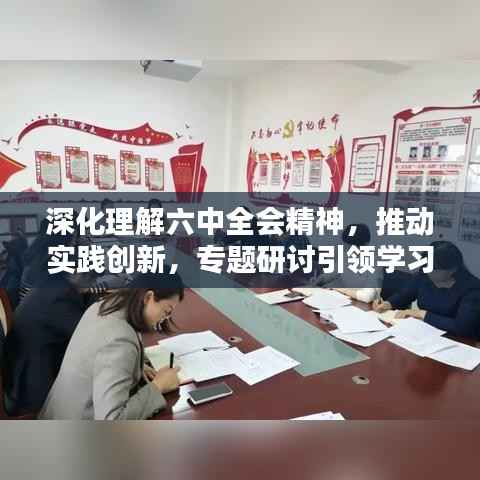 深化理解六中全会精神,推动实践创新,专题研讨引领学习新高度