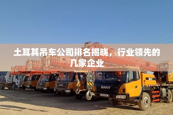 土耳其吊车公司排名揭晓,行业领先的几家企业