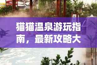 猫猫温泉游玩指南,最新攻略大全,让你轻松享受温泉之旅!