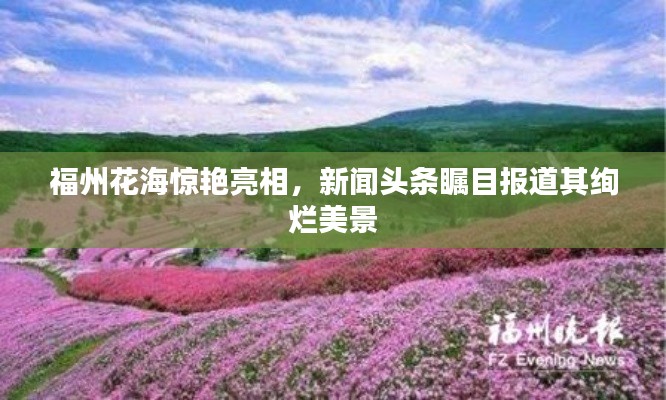 福州花海惊艳亮相，新闻头条瞩目报道其绚烂美景