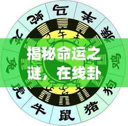 揭秘命运之谜，在线卦象解读，百度助你洞悉未来！