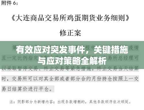 有效应对突发事件,关键措施与应对策略全解析