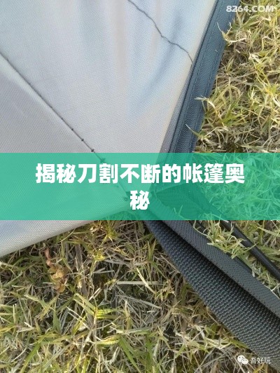 揭秘刀割不断的帐篷奥秘
