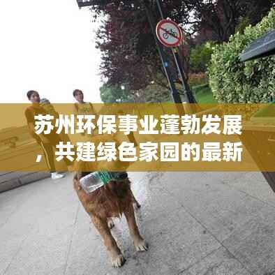 苏州环保事业蓬勃发展,共建绿色家园的最新动态