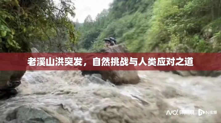 老溪山洪突发,自然挑战与人类应对之道